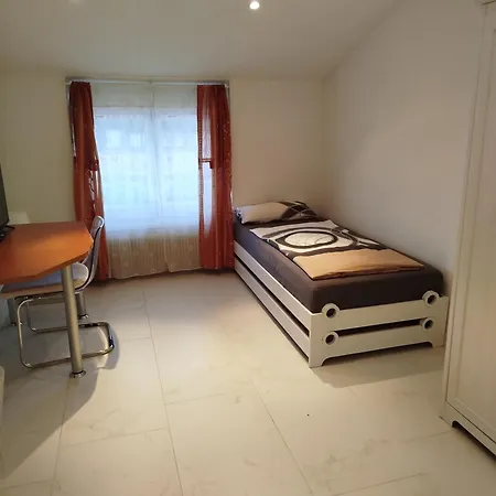 Gaestehaus Palme 巴特塞京根